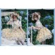Classical Puppets Snow White Salopette Pants Salopette Overdress and OPs(Limited Pre-Order/4 Colours/Full Payment Without Shipping)
